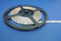 5M PACK 12WATTS/M 120LEDS/, 6000K IP20